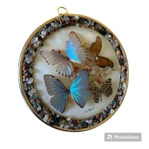 Vintage Butterfly Taxidermy Round Art- Brazil Gem stones home decor